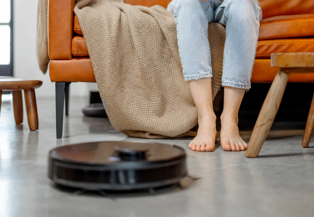 robot vacuum cleaner with docking station